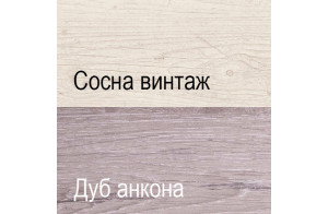 Двухстворчатый шкаф для одежды Монако 2DG2S